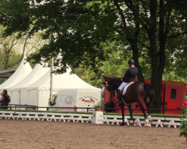 Reitturnier Hamm-Rhynern 2018