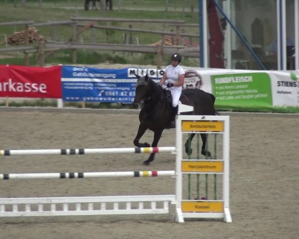 Reitturnier Fürstenwald 2018