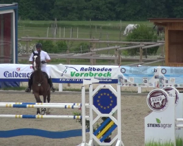 Reitturnier Fürstenwald 2018