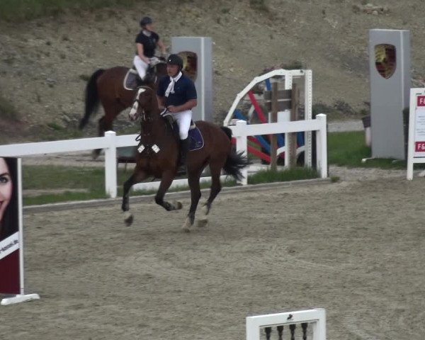 Reitturnier Fürstenwald 2018