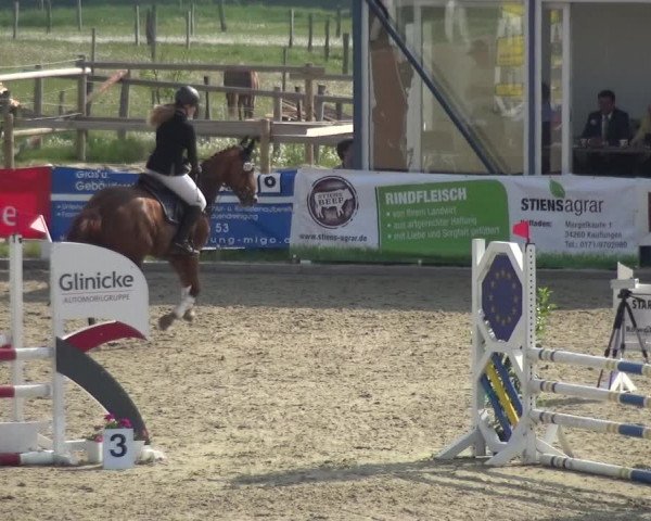 Reitturnier Fürstenwald 2018
