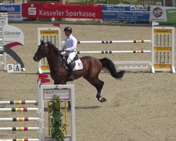Reitturnier Fürstenwald 2018