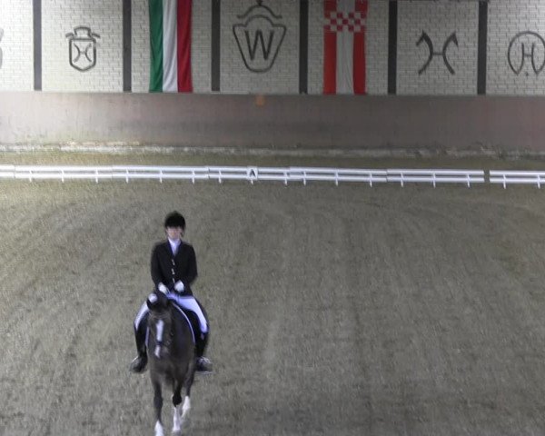 Reitturnier Hamm-Rhynern 2018