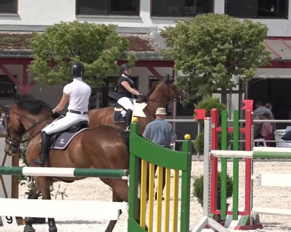 Reitturnier Achern 2018