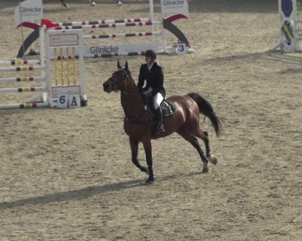Reitturnier Fürstenwald 2018