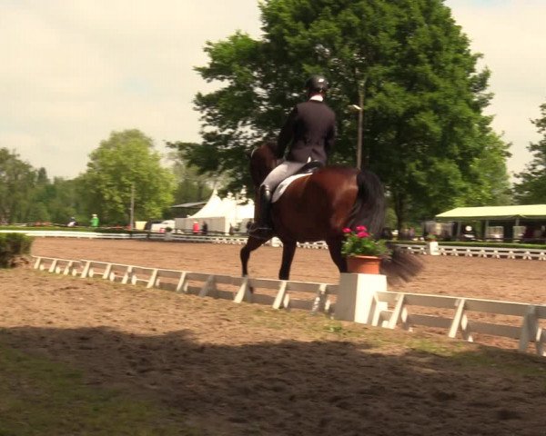 Reitturnier Hamm-Rhynern 2018