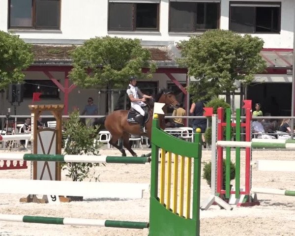 Reitturnier Achern 2018