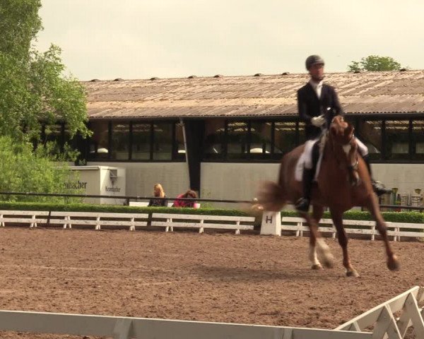 Reitturnier Hamm-Rhynern 2018