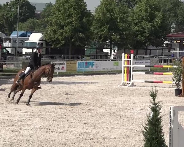 Reitturnier Achern 2018