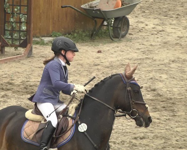 Eppelheimer Reiterfest 2018