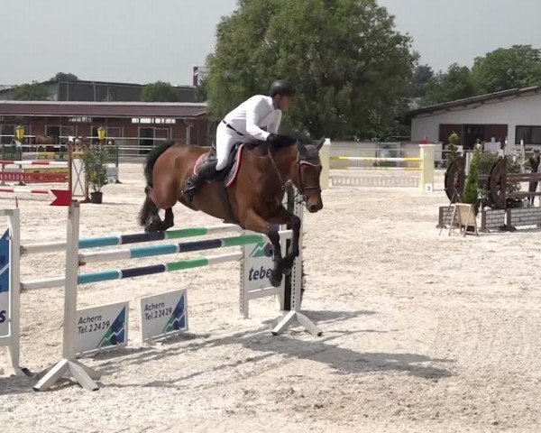 Reitturnier Achern 2018