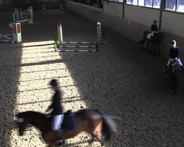 Reitturnier Hamm-Rhynern 2018