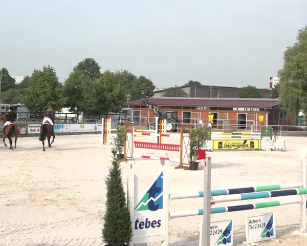Reitturnier Achern 2018
