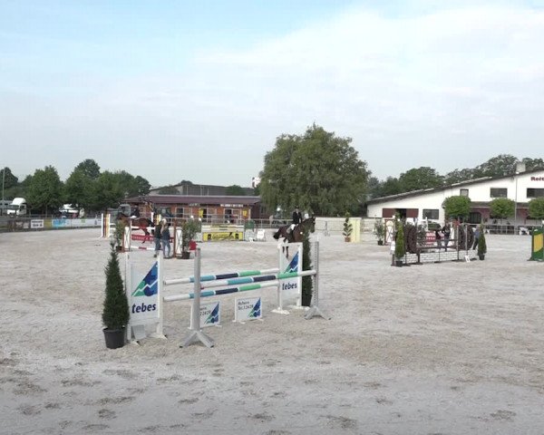 Reitturnier Achern 2018