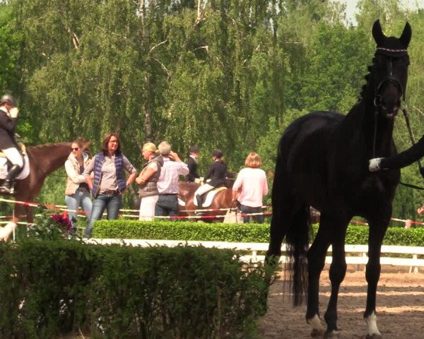 Reitturnier Hamm-Rhynern 2018