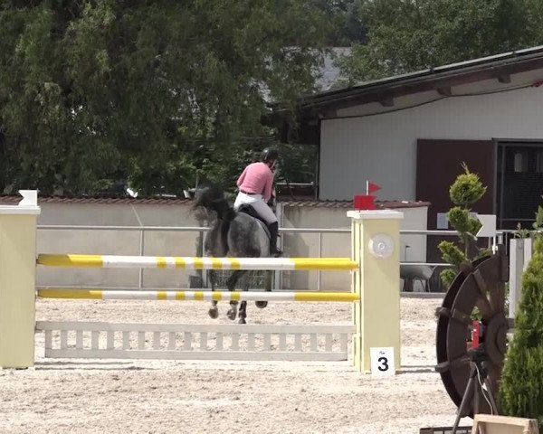 Reitturnier Achern 2018