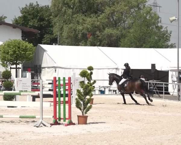 Reitturnier Achern 2018