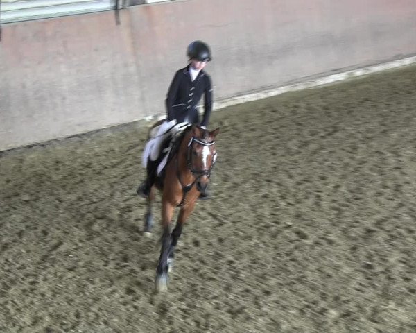 Reitturnier Hamm-Rhynern 2018