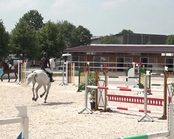 Reitturnier Achern 2018