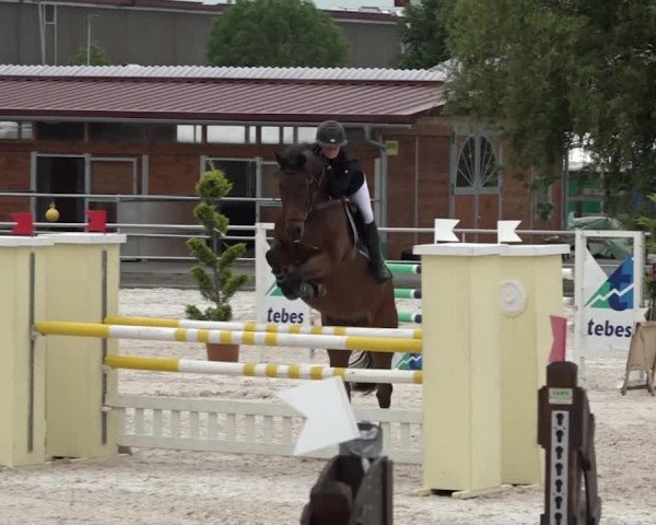 Reitturnier Achern 2018