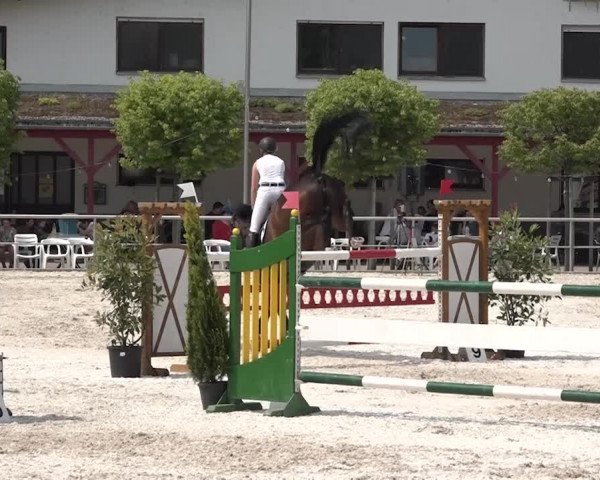 Reitturnier Achern 2018