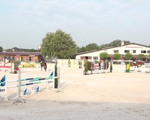 Reitturnier Achern 2018