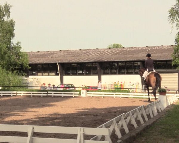 Reitturnier Hamm-Rhynern 2018
