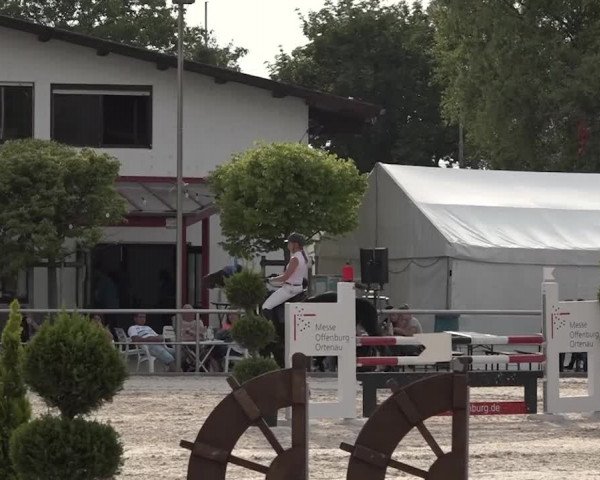 Reitturnier Achern 2018