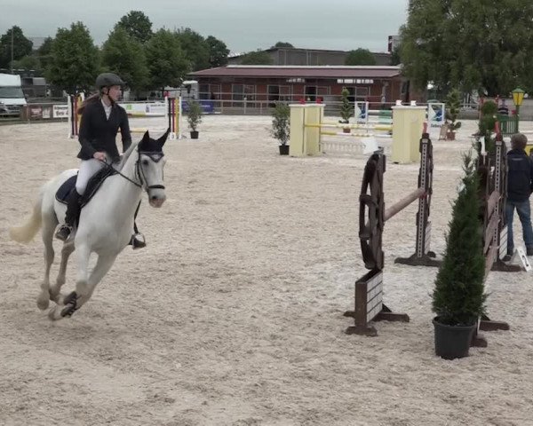 Reitturnier Achern 2018