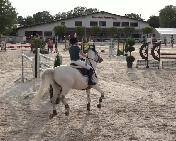 Reitturnier Achern 2018
