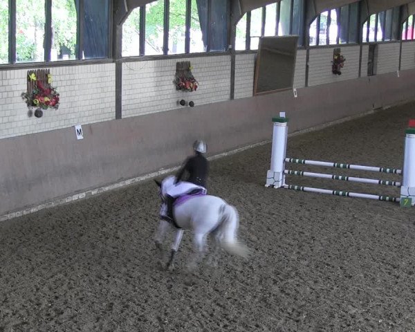 Reitturnier Hamm-Rhynern 2018