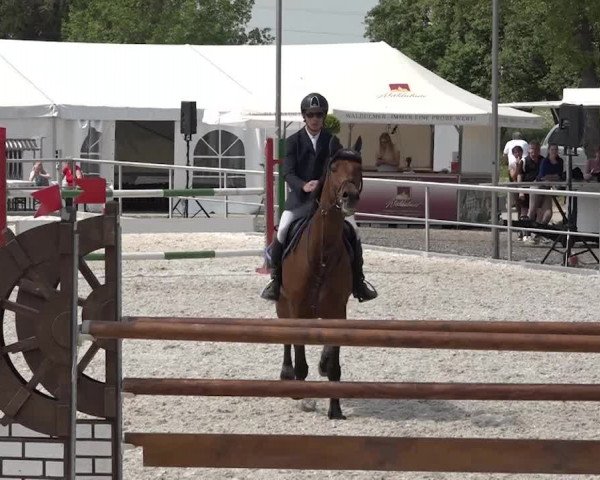 Reitturnier Achern 2018