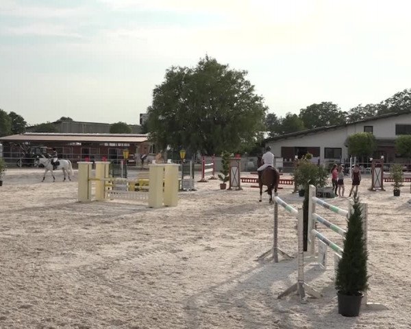 Reitturnier Achern 2018