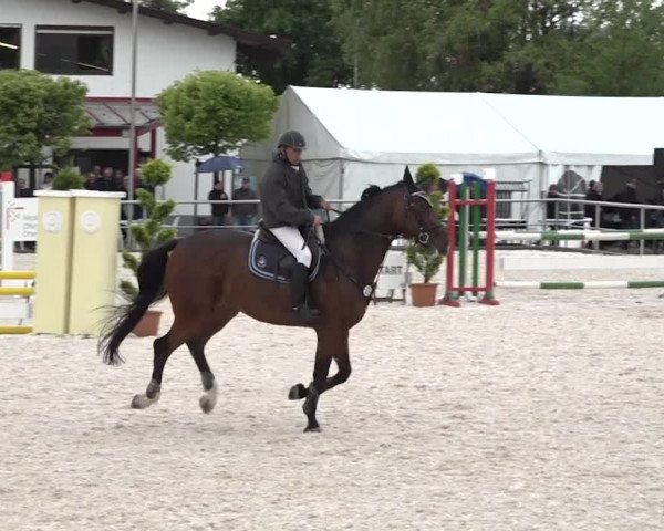 Reitturnier Achern 2018
