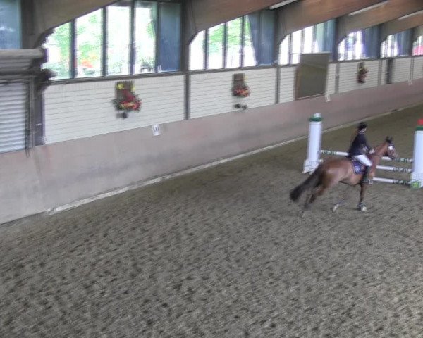 Reitturnier Hamm-Rhynern 2018
