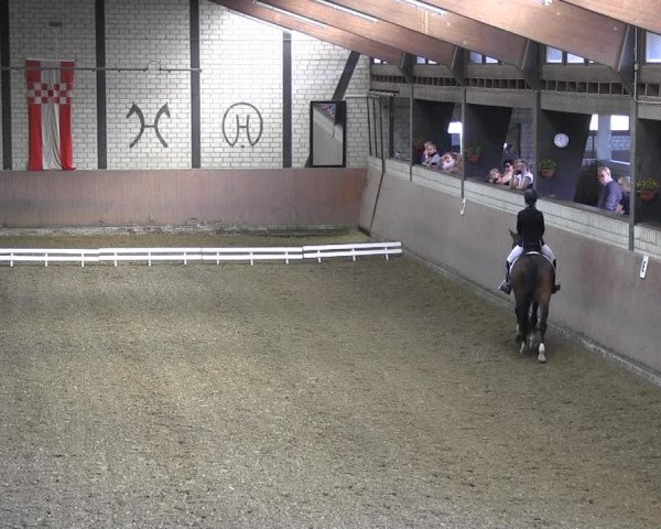 Reitturnier Hamm-Rhynern 2018