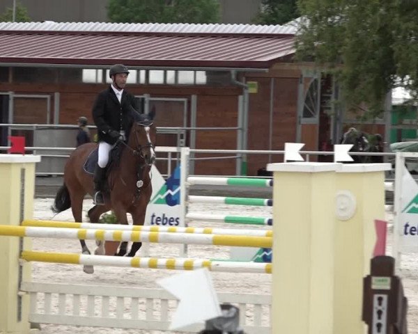 Reitturnier Achern 2018
