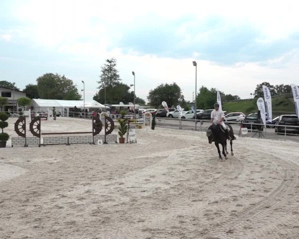 Reitturnier Achern 2018