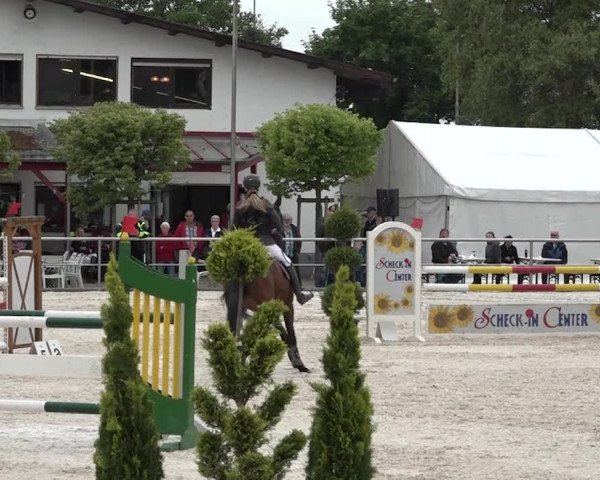 Reitturnier Achern 2018