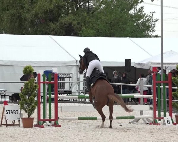 Reitturnier Achern 2018