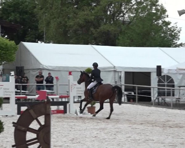 Reitturnier Achern 2018