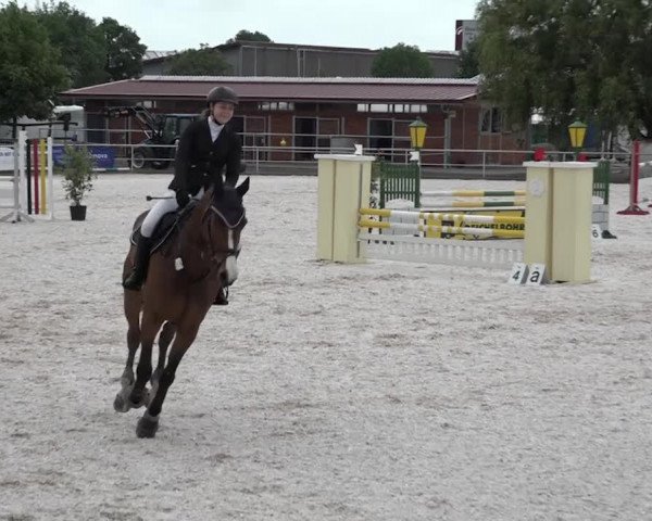 Reitturnier Achern 2018