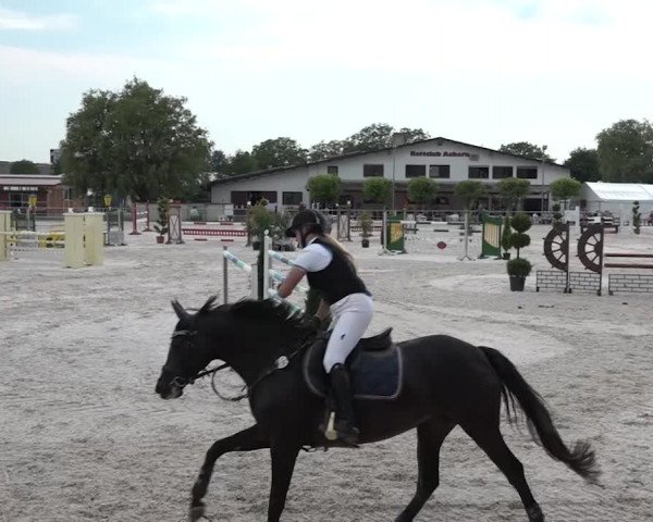 Reitturnier Achern 2018