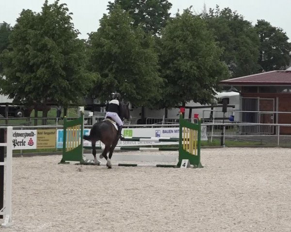 Reitturnier Achern 2018