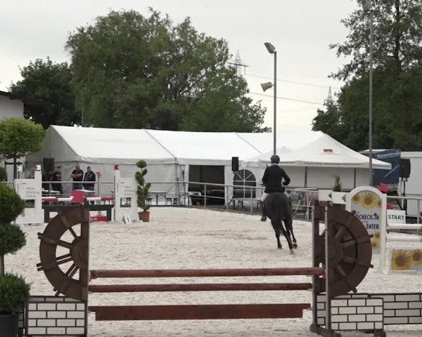 Reitturnier Achern 2018