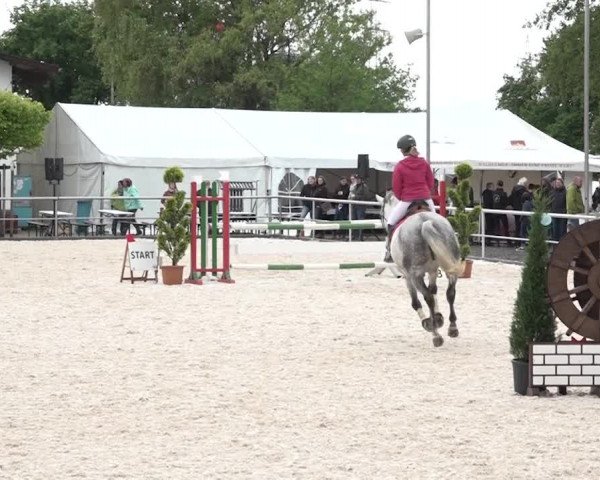 Reitturnier Achern 2018