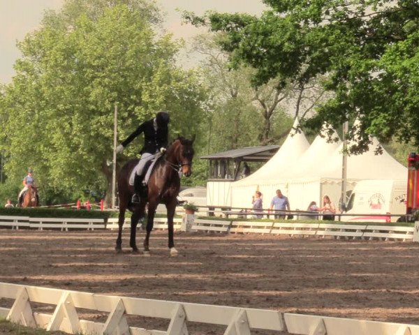 Reitturnier Hamm-Rhynern 2018