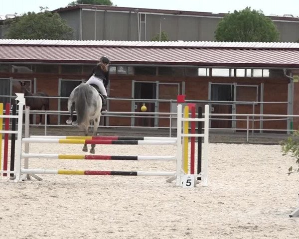 Reitturnier Achern 2018