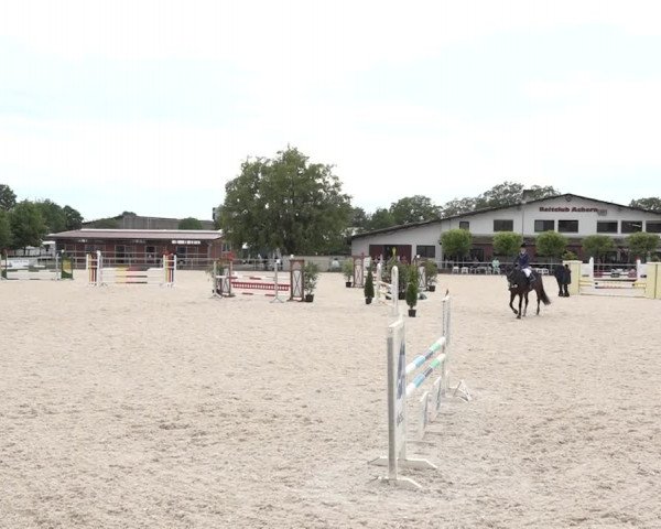 Reitturnier Achern 2018