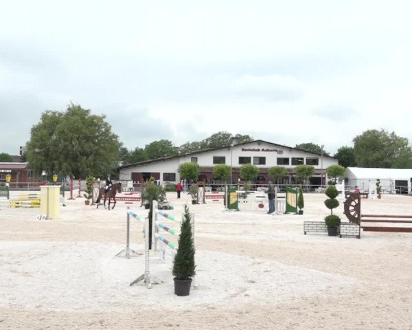 Reitturnier Achern 2018